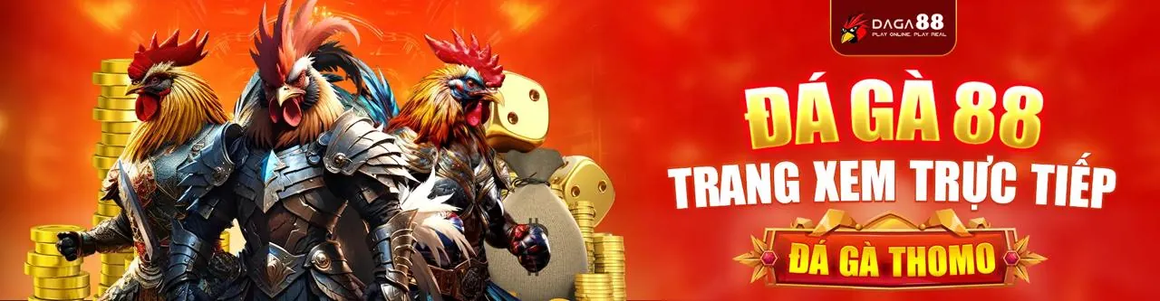 Đá gà trực tuyến kịch tính tại rr8